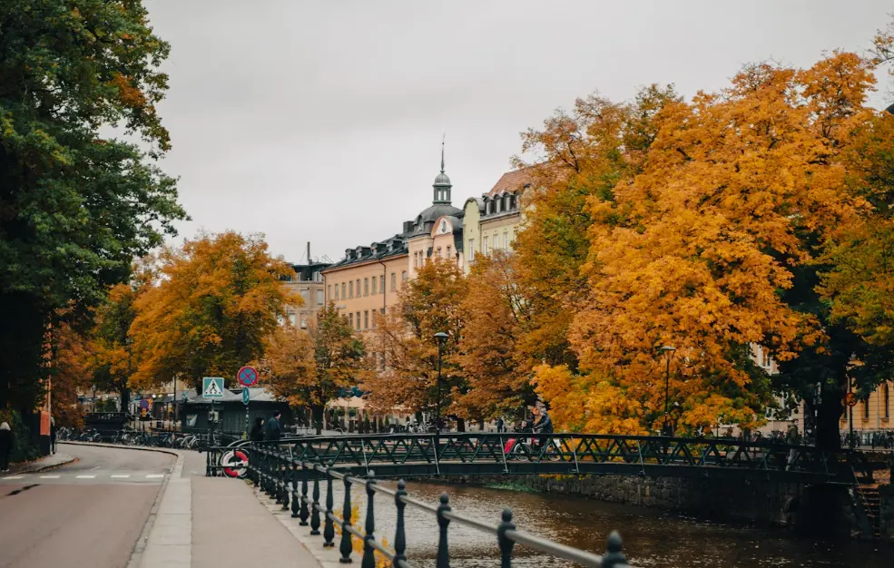 Uppsala semester